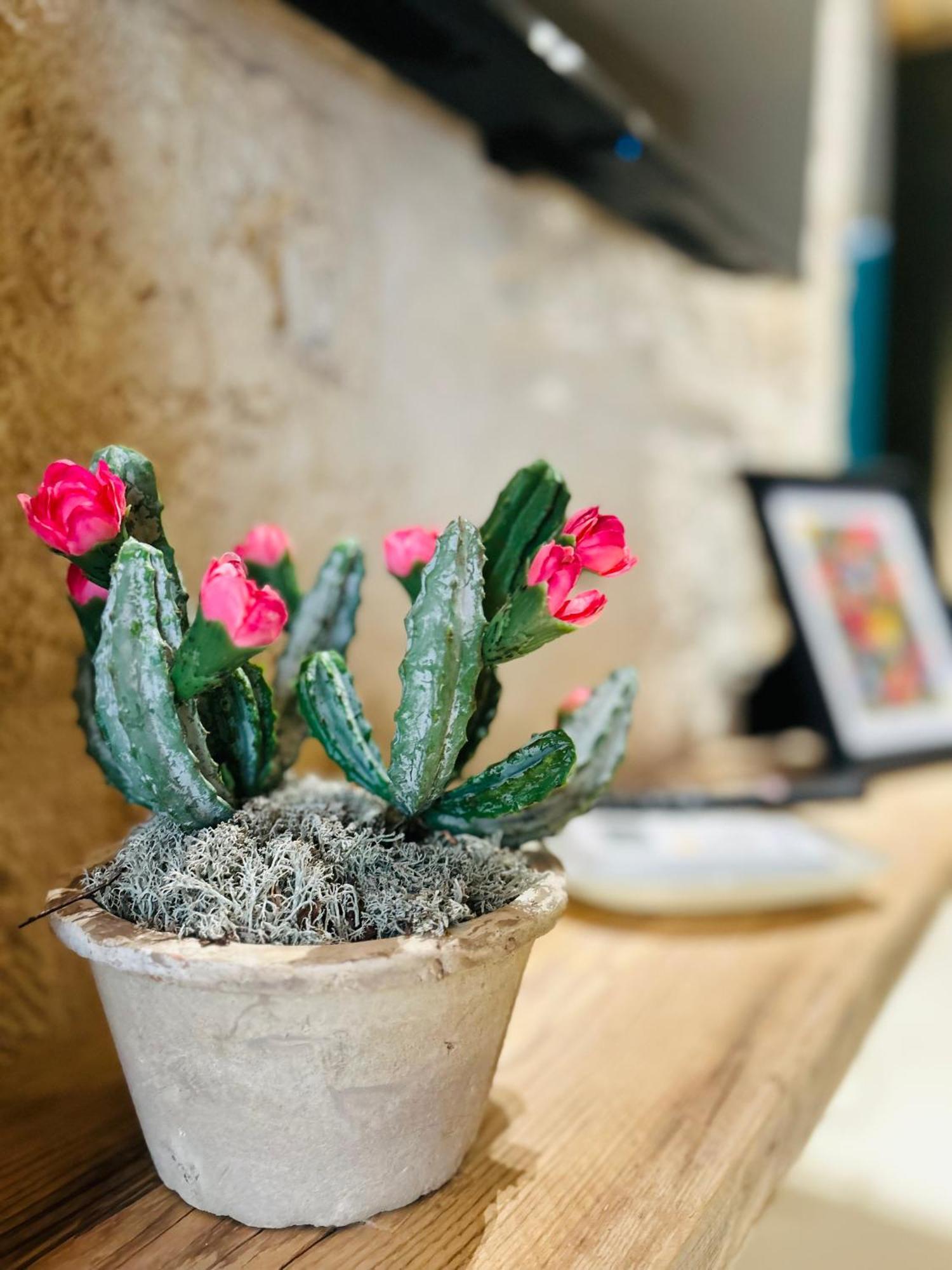 Appartamento My Loft - Monopoli Esterno foto